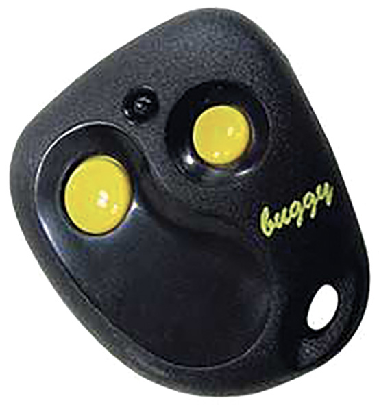 RADIOCOMANDI PROJET BUGGY                         