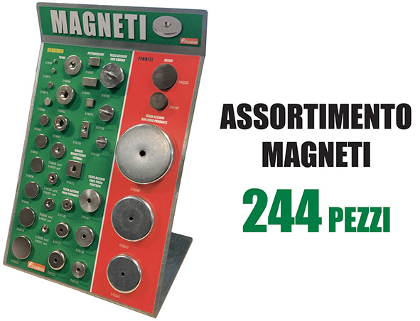 MAGNETI ASSORTIMENTO * 244 PEZZI                  